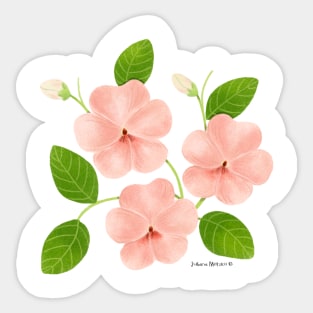 Impatiens Flowers Sticker